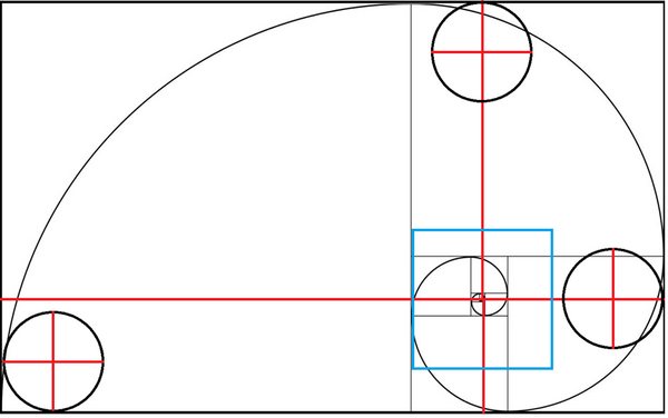 Hypertrophy By Design